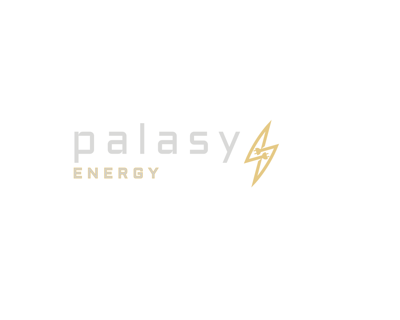 Palasy Limited